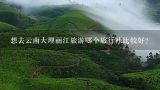 想去云南大理丽江旅游哪个旅行社比较好？想去丽江旅游 哪个旅行社比较好