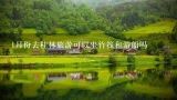 1月份去桂林旅游可以坐竹筏和游船吗