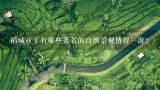 稻城亚丁有哪些著名的自然景观值得一游？