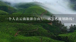 一个人去云南旅游自由行，该怎么规划路线？
