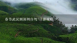 春节武汉到深圳自驾7日游攻略
