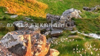 在广州怎么去韶关的丹霞山？