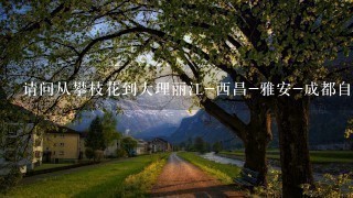 请问从攀枝花到大理丽江-西昌-雅安-成都自驾游的最近路线
