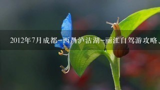 2012年7月成都-西昌泸沽湖-丽江自驾游攻略、路况（要最近的路况），可追加分数，在线等