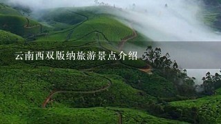 云南西双版纳旅游景点介绍
