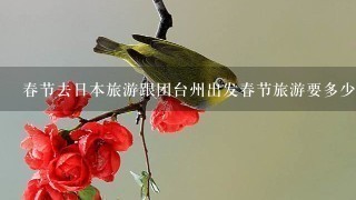 春节去日本旅游跟团台州出发春节旅游要多少钱
