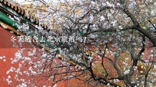 冬天适合去北京旅游吗?
