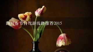 4川春节自驾游线路推荐2015