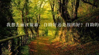 我想去丽江旅游，自助好还是报团好？自助的话1星期得多少费用，路线是什么。