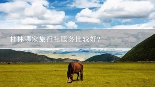 桂林哪家旅行社服务比较好？