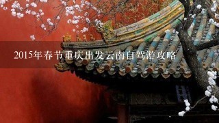 2015年春节重庆出发云南自驾游攻略