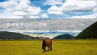 贵州旅游自由行攻略